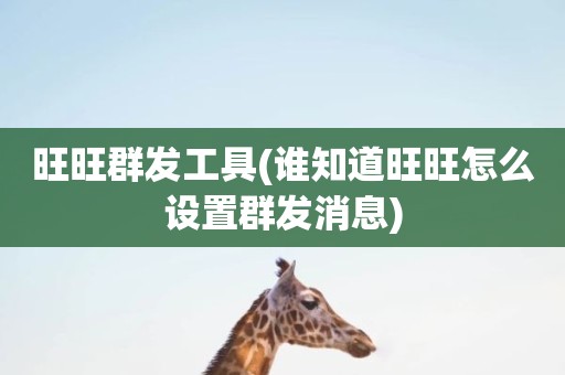 旺旺群发工具(谁知道旺旺怎么设置群发消息)