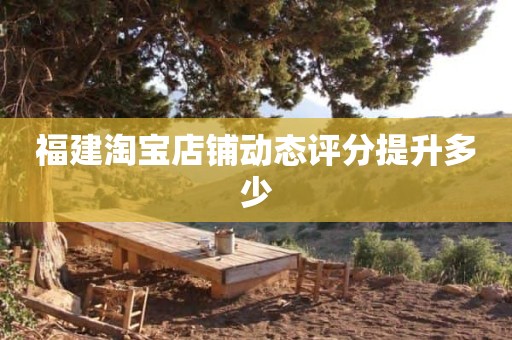 福建淘宝店铺动态评分提升多少