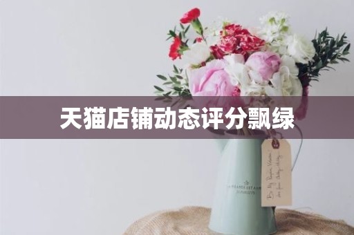 天猫店铺动态评分飘绿