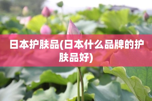 日本护肤品(日本什么品牌的护肤品好)