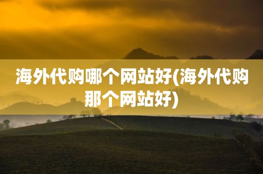 海外代购哪个网站好(海外代购那个网站好)