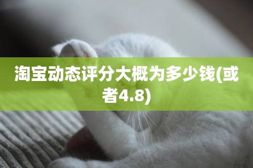 淘宝动态评分大概为多少钱(或者4.8)