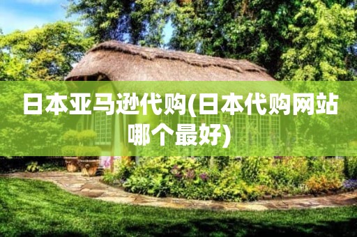 日本亚马逊代购(日本代购网站哪个最好)