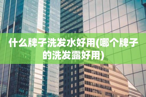 什么牌子洗发水好用(哪个牌子的洗发露好用)