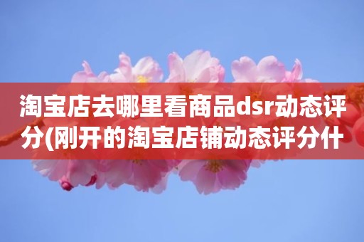 淘宝店去哪里看商品dsr动态评分(刚开的淘宝店铺动态评分什么时候开始显示)