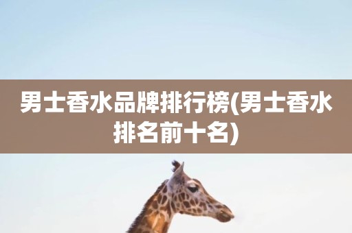 男士香水品牌排行榜(男士香水排名前十名)