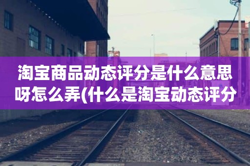 淘宝商品动态评分是什么意思呀怎么弄(什么是淘宝动态评分)