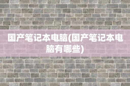 国产笔记本电脑(国产笔记本电脑有哪些)