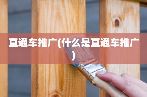 直通车推广(什么是直通车推广)