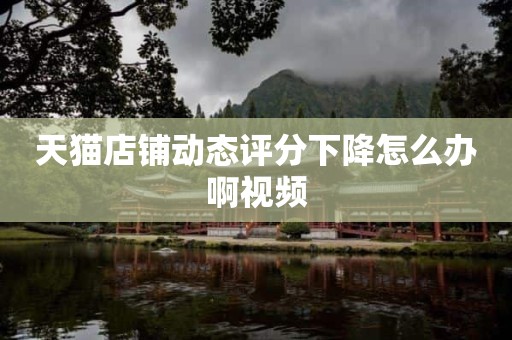 天猫店铺动态评分下降怎么办啊视频