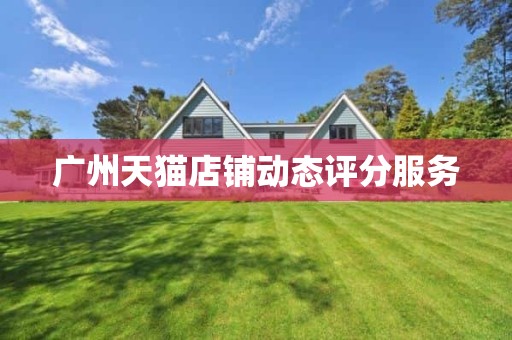 广州天猫店铺动态评分服务