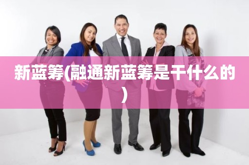 新蓝筹(融通新蓝筹是干什么的)