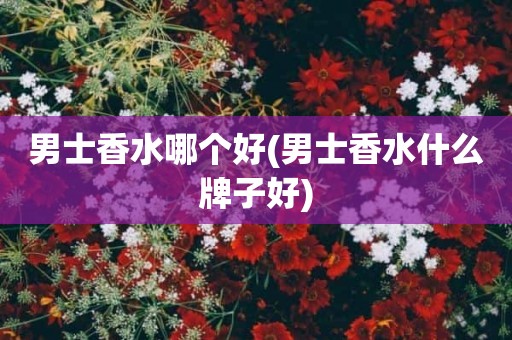 男士香水哪个好(男士香水什么牌子好)