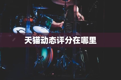 天猫动态评分在哪里