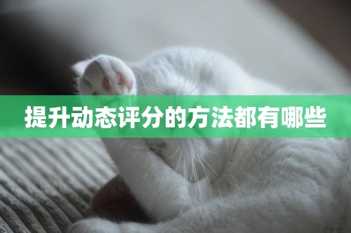 提升动态评分的方法都有哪些