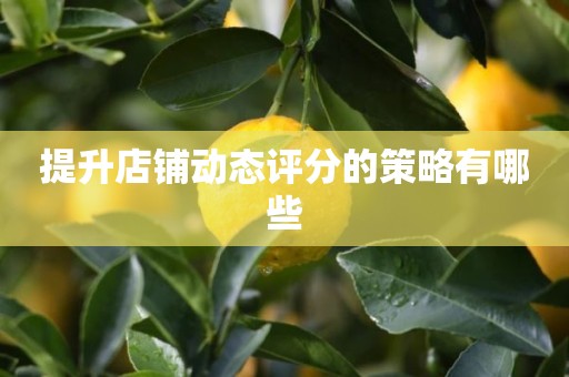 提升店铺动态评分的策略有哪些