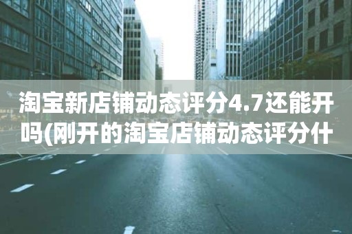 淘宝新店铺动态评分4.7还能开吗(刚开的淘宝店铺动态评分什么时候开始显示)