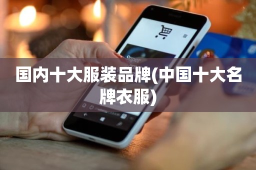 国内十大服装品牌(中国十大名牌衣服)