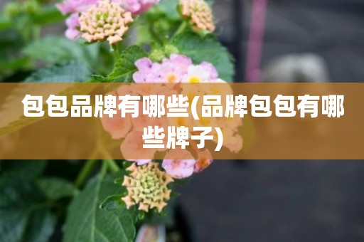 包包品牌有哪些(品牌包包有哪些牌子)