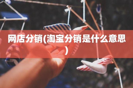 网店分销(淘宝分销是什么意思)