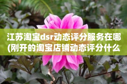 江苏淘宝dsr动态评分服务在哪(刚开的淘宝店铺动态评分什么时候开始显示)