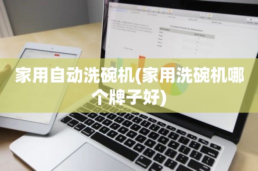 家用自动洗碗机(家用洗碗机哪个牌子好)