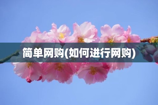 简单网购(如何进行网购)