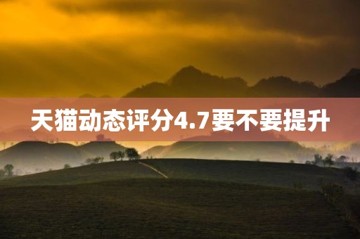 天猫动态评分4.7要不要提升