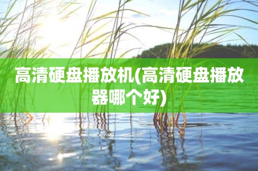 高清硬盘播放机(高清硬盘播放器哪个好)
