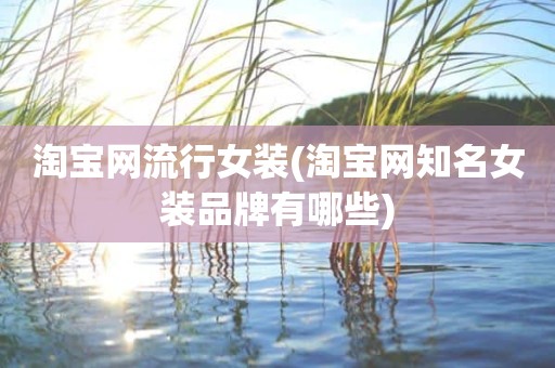 淘宝网流行女装(淘宝网知名女装品牌有哪些)