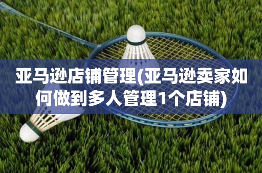 亚马逊店铺管理(亚马逊卖家如何做到多人管理1个店铺)