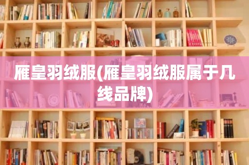 雁皇羽绒服(雁皇羽绒服属于几线品牌)