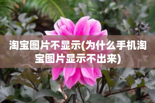 淘宝图片不显示(为什么手机淘宝图片显示不出来)