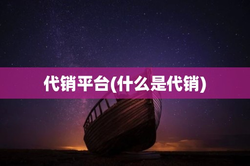 代销平台(什么是代销)