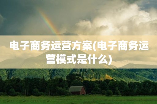 电子商务运营方案(电子商务运营模式是什么)