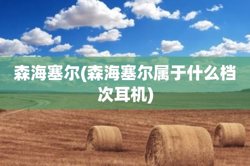 森海塞尔(森海塞尔属于什么档次耳机)