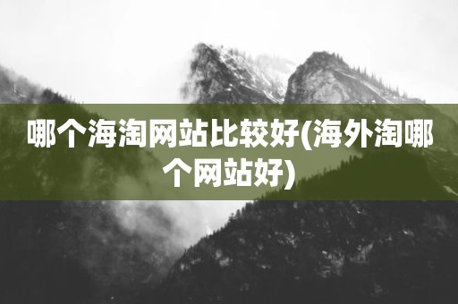 哪个海淘网站比较好(海外淘哪个网站好)