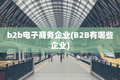 b2b电子商务企业(B2B有哪些企业)