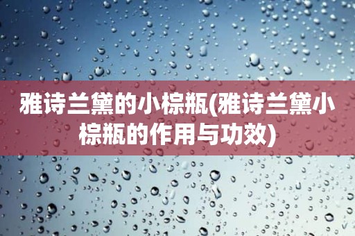 雅诗兰黛的小棕瓶(雅诗兰黛小棕瓶的作用与功效)