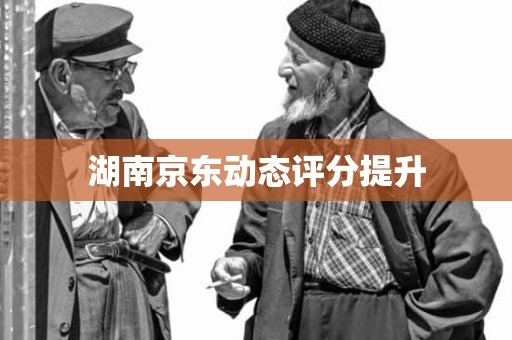 湖南京东动态评分提升