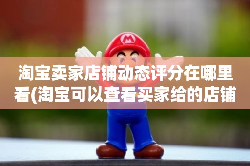 淘宝卖家店铺动态评分在哪里看(淘宝可以查看买家给的店铺动态评分吗)