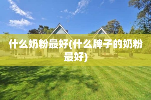 什么奶粉最好(什么牌子的奶粉最好)