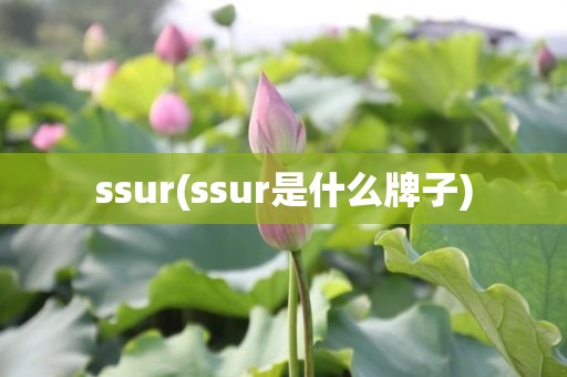 ssur(ssur是什么牌子)