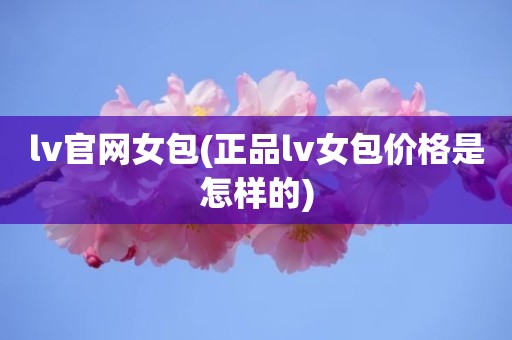 lv官网女包(正品lv女包价格是怎样的)