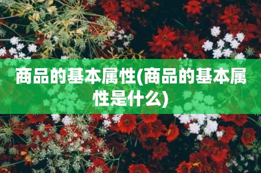 商品的基本属性(商品的基本属性是什么)