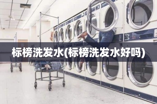 标榜洗发水(标榜洗发水好吗)