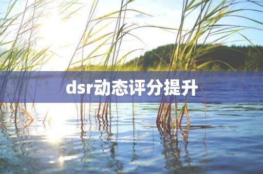 dsr动态评分提升