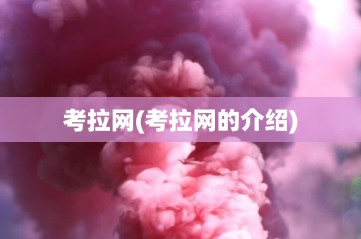 考拉网(考拉网的介绍)