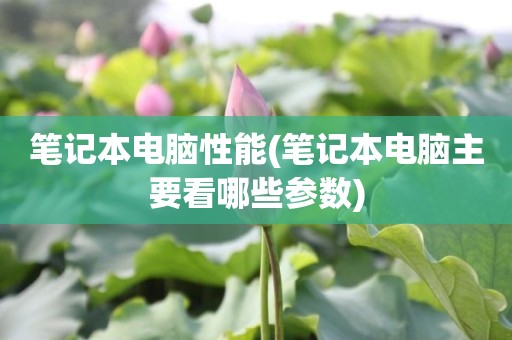 笔记本电脑性能(笔记本电脑主要看哪些参数)