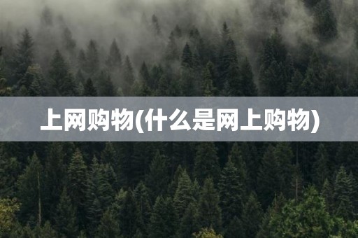 上网购物(什么是网上购物)